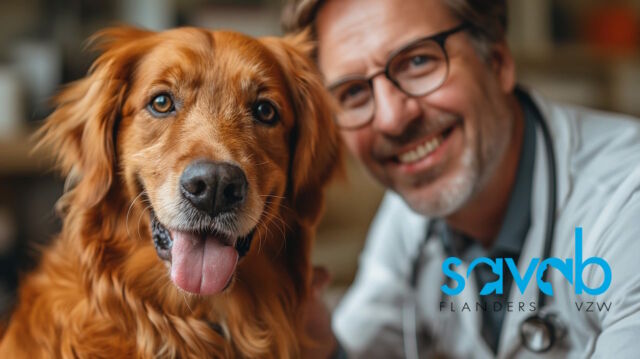 Dank je wel aan alle dierenartsen om niet alleen op #werelddierendag maar op elke dag van het jaar het beste van jezelf te geven! 🐶🐱🐰🐸🐷🐮🦁